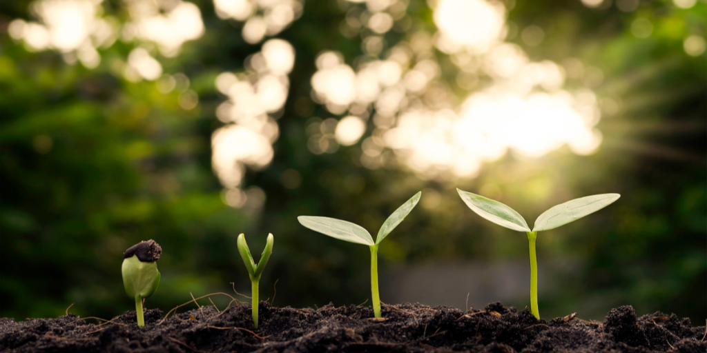 Sustainability Assessment Benefits